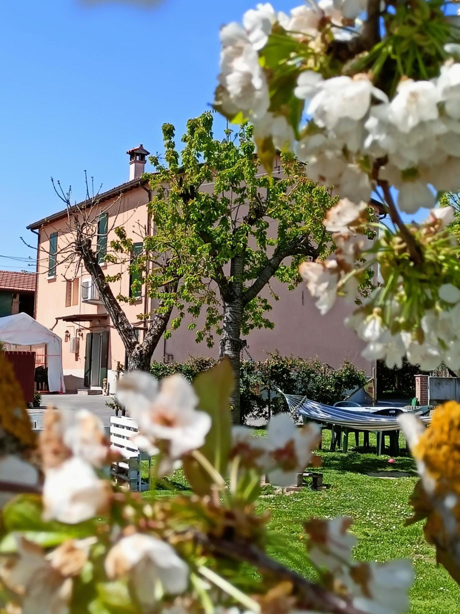 La Casa Della Nonna Brisighella Exterior foto